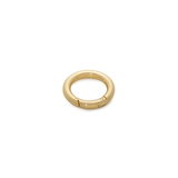 Small Shiny Gold Ring